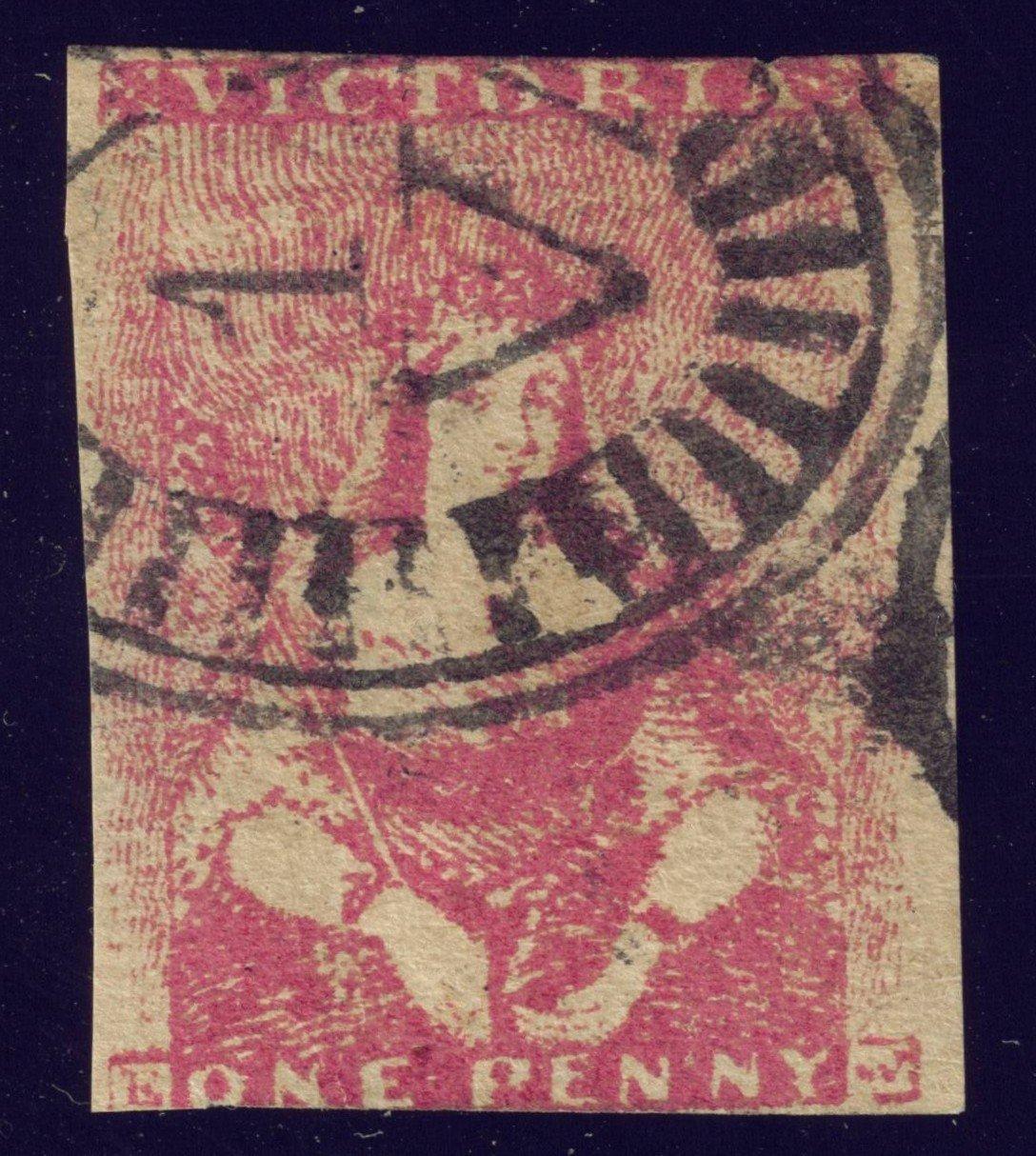 Victoria Scott # 2, rose red